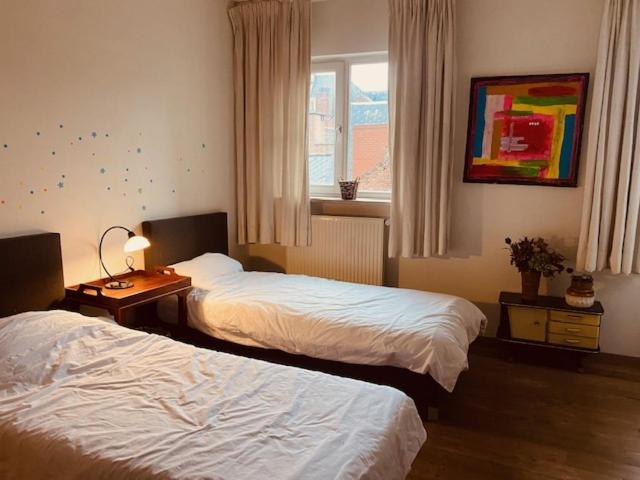 Spacious Duplex With Terrace In The Middle Of The Center Apartment Gent